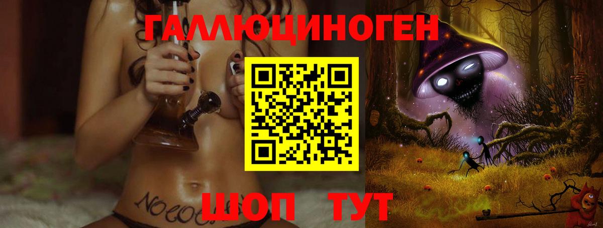 Псилоцибиновые грибы Psilocybine cubensis Черкесск