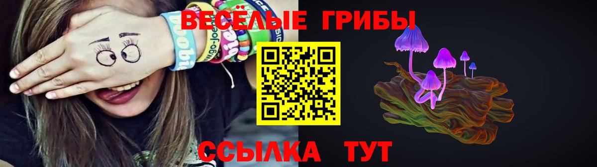 Галлюциногенные грибы Psilocybine cubensis  Галлюциногенные грибы мухоморы  Черкесск  Вход с VPN 